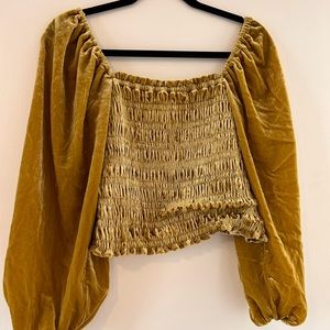 NWT Velvet too with big sleeves and fitted bodice